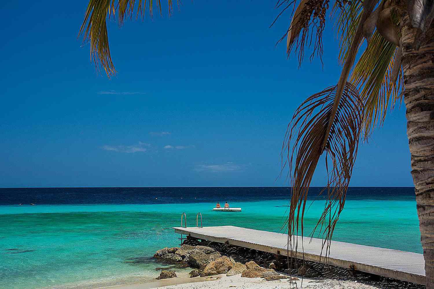 Journey through the Caribbean and Central America Los Angeles to New York